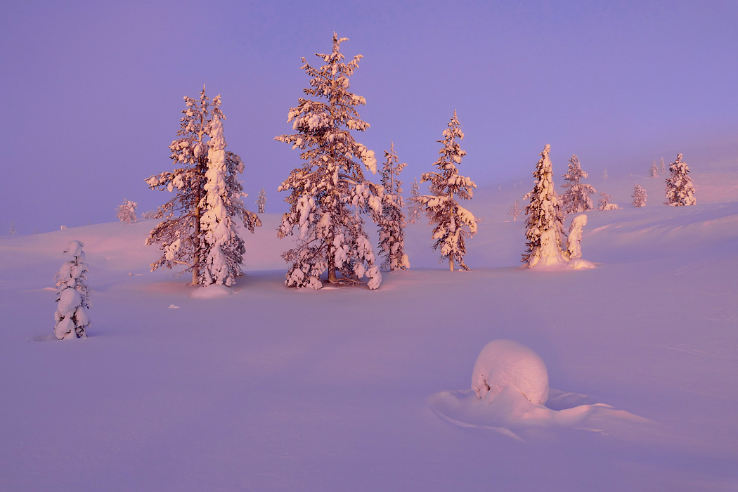 Nord Lappland im Winter 2016-3