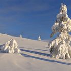 Nord Lappland im Winter 2016-5