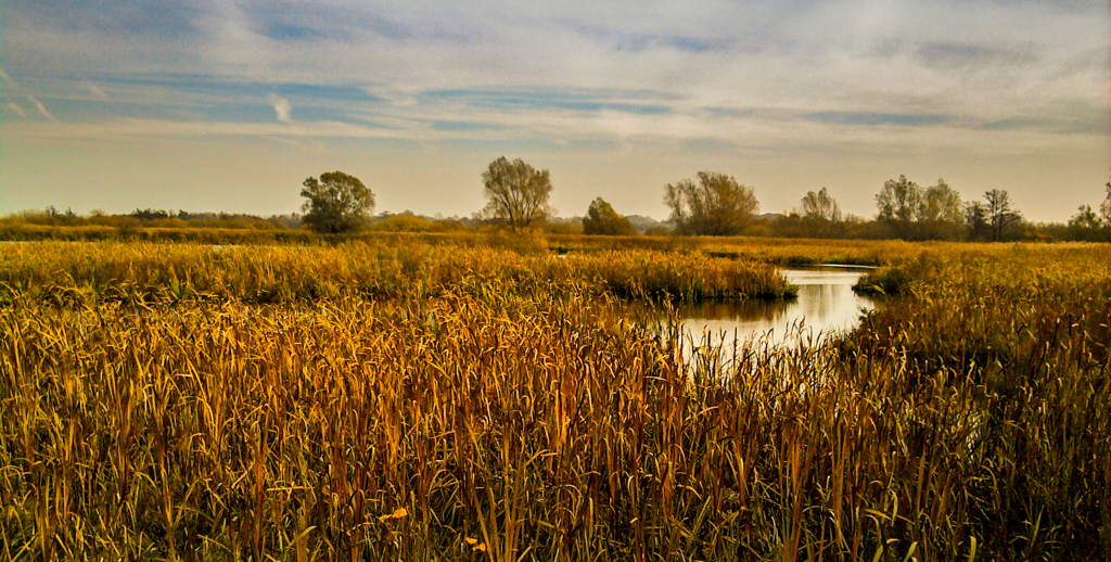 Nord Ostsee Kanal - back waters