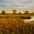 Nord Ostsee Kanal - back waters