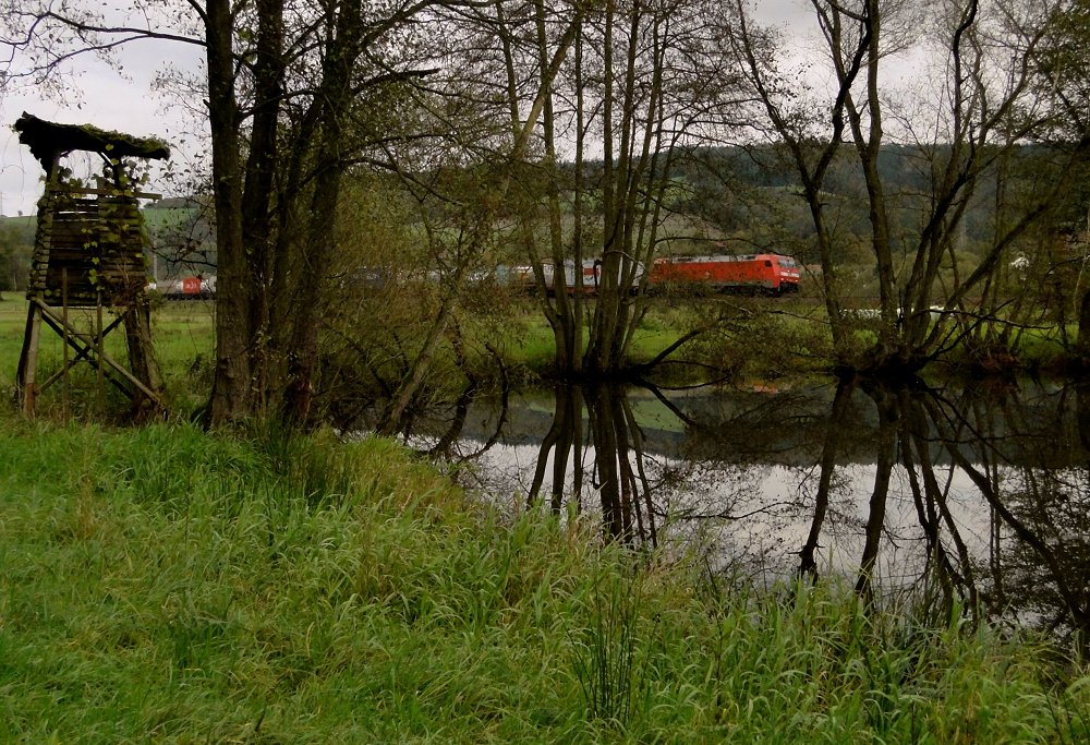 Nord-Süd-Exkursion 2014 - Viel zu viel ..... auch am Weiher