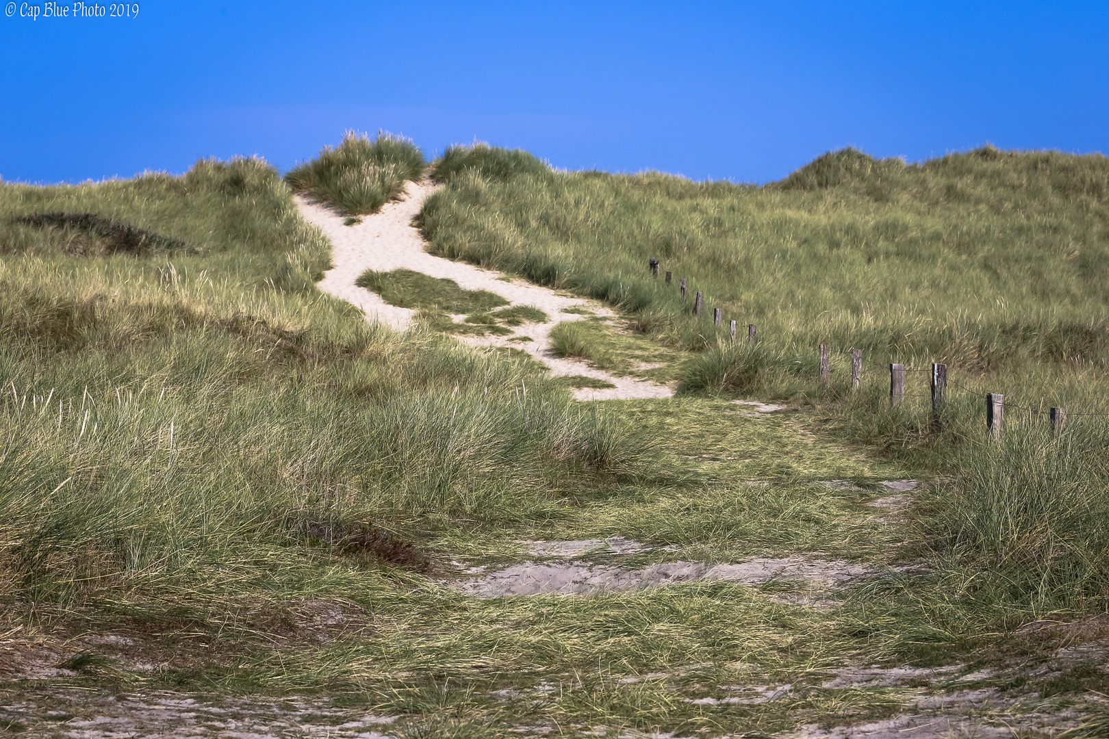 Nord Sylt Dünenlandschaft am Ellenbogen