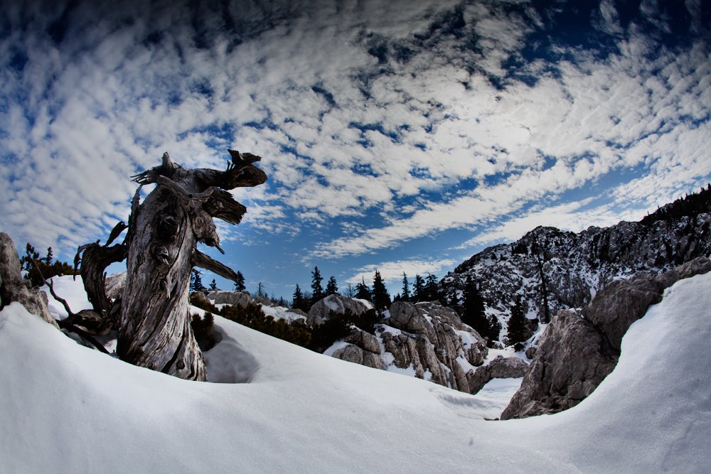 Nord Velebit .. premuziceva staza