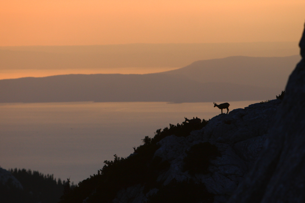 nord velebit rossijeva