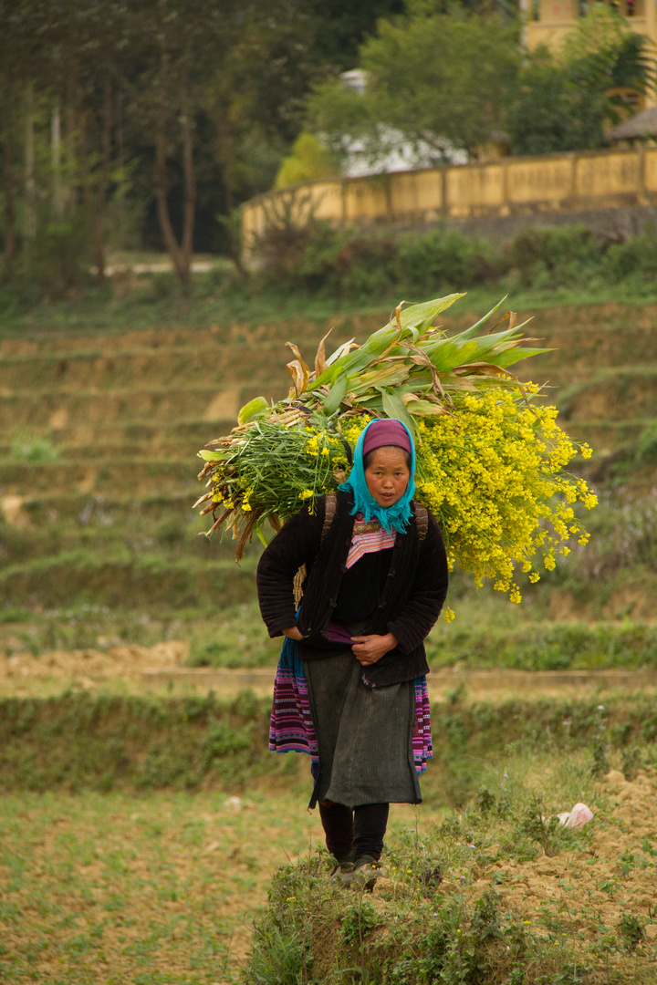 Nord Vietnam - marzo 2012