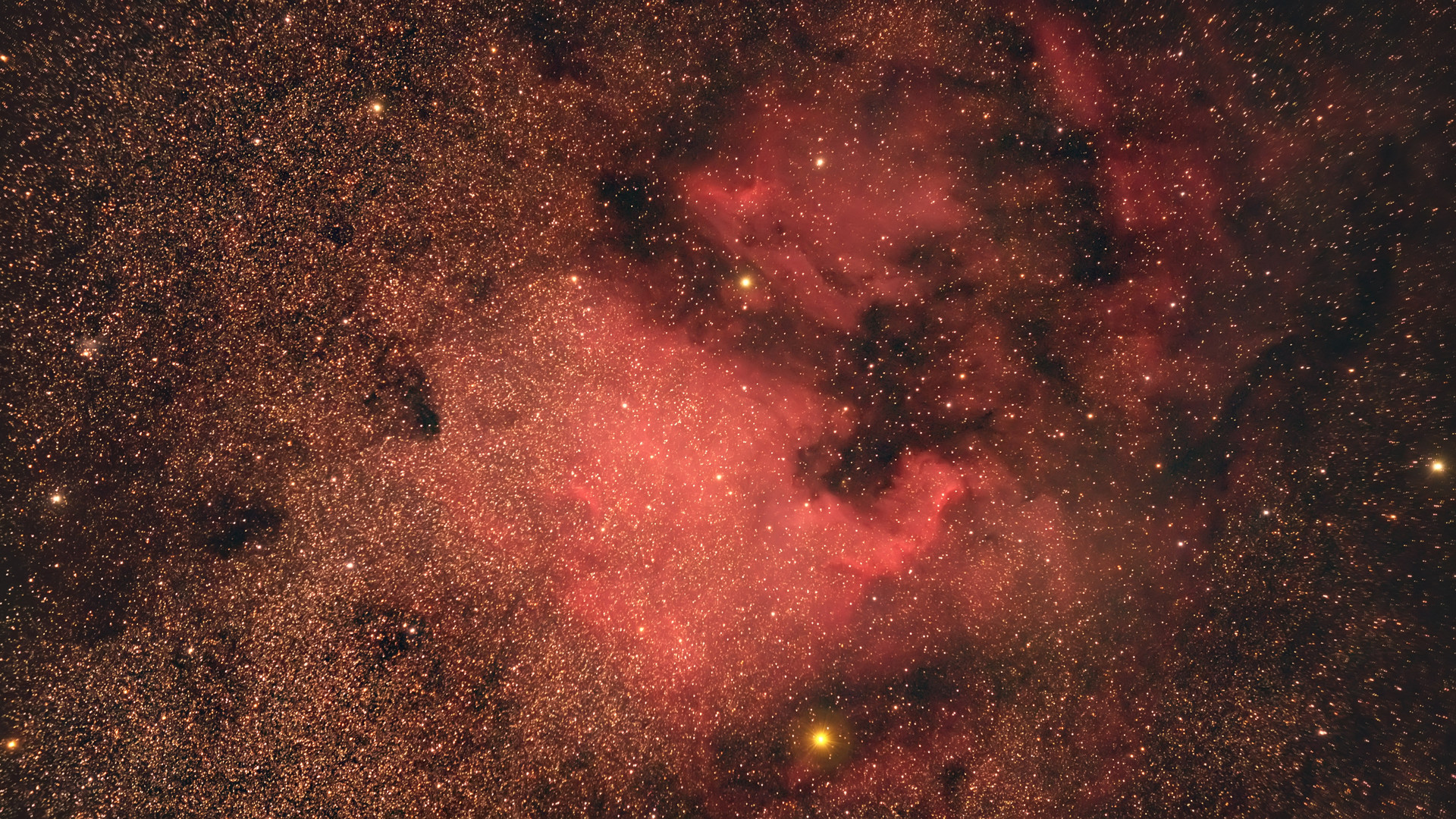 Nordamerika-Nebel NGC_7000_FC