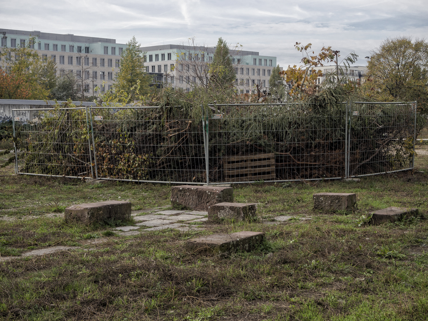 Nordbahnhof (captured plants)