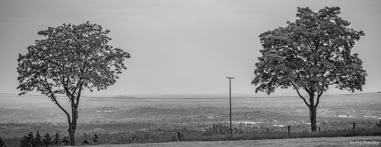 Nordblick von Raffelsbrand