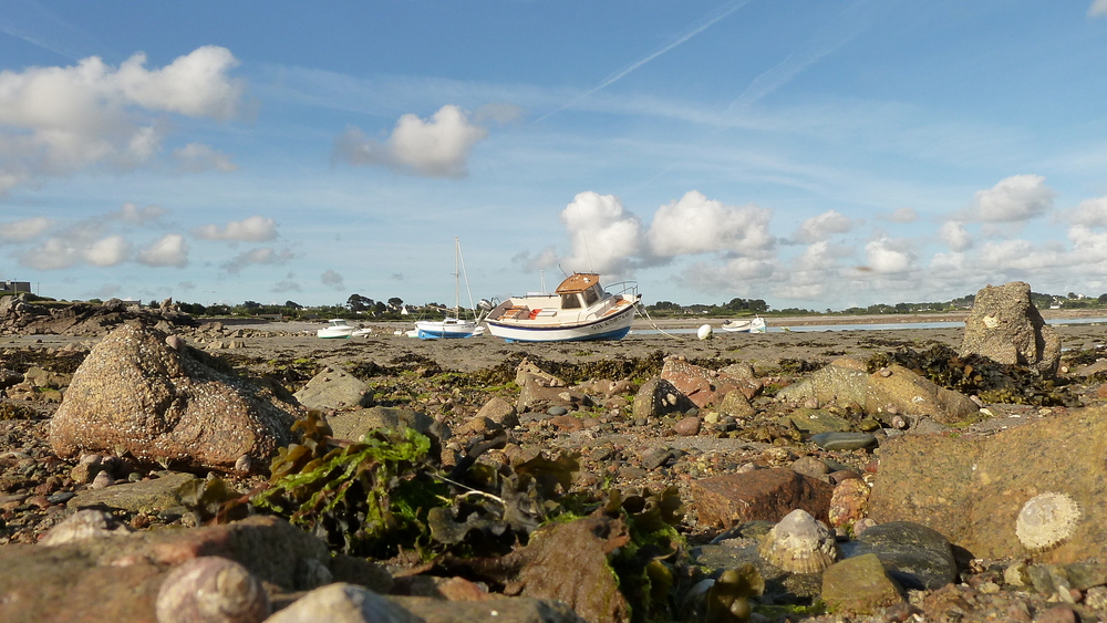 Nordbretagne bei Pleubian