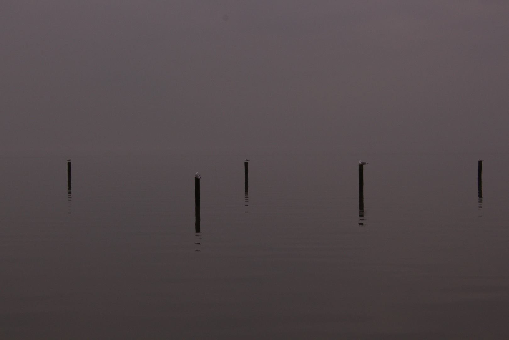 Norddeich, Nebel