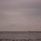 Norddeich Strand