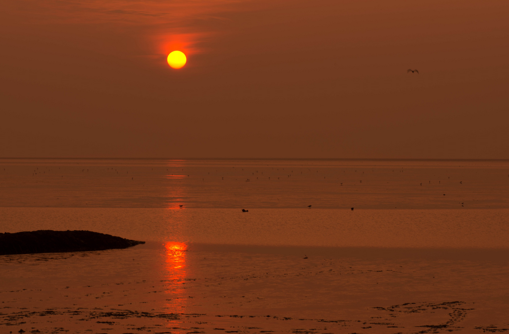 Norddeicher Strand I