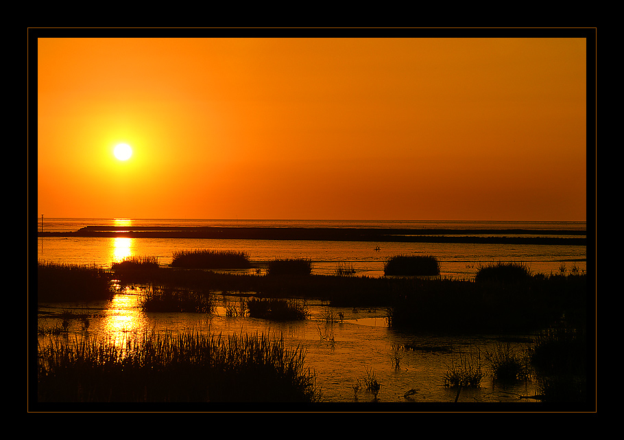 Norddeichs Sonne