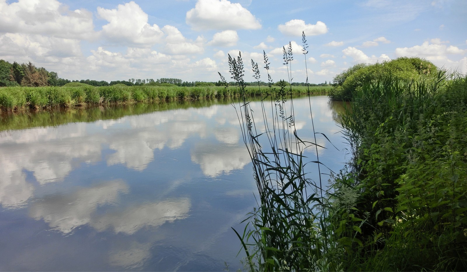 Norddeutsche Flusslandschaft