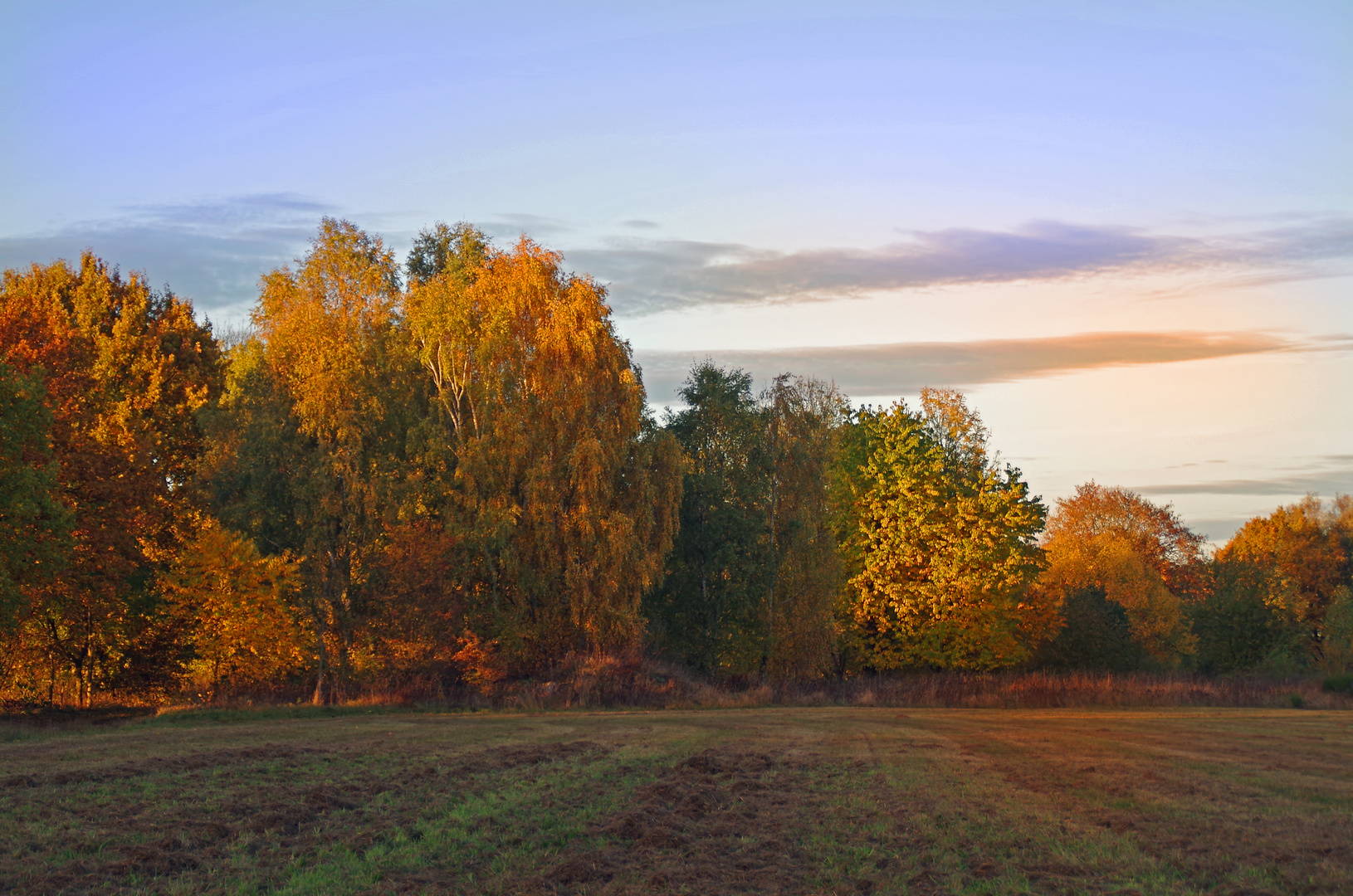 Norddeutsche Herbstansicht