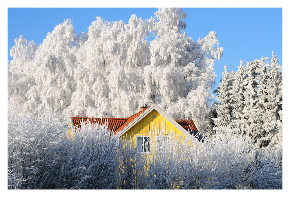 Norddeutsche Landschaft 2