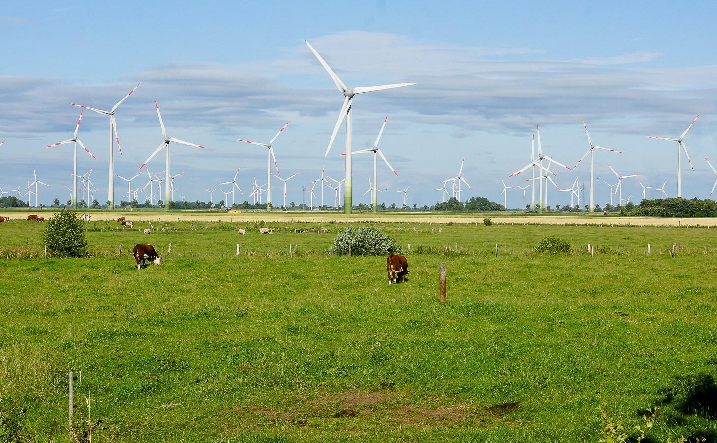 Norddeutsche Landschaft 3