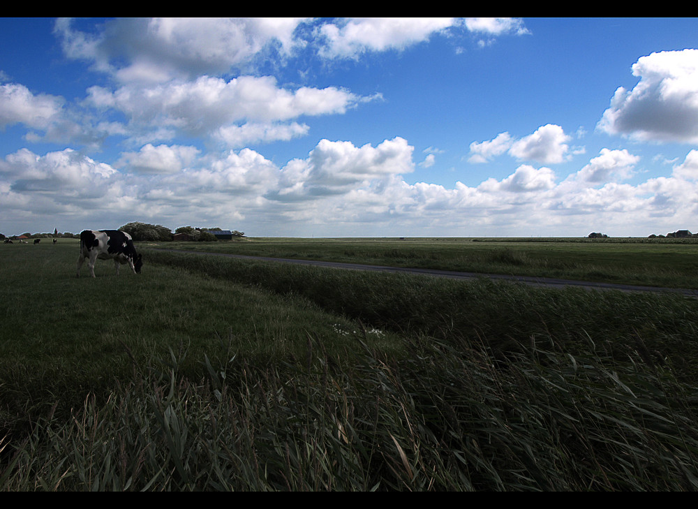 Norddeutsche Landschaft