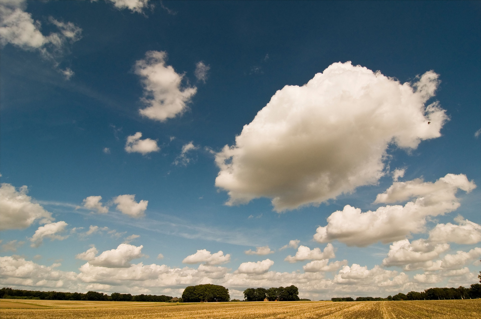 Norddeutsche Landschaft