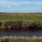 Norddeutsche Landschaft