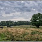 Norddeutsche Landschaft