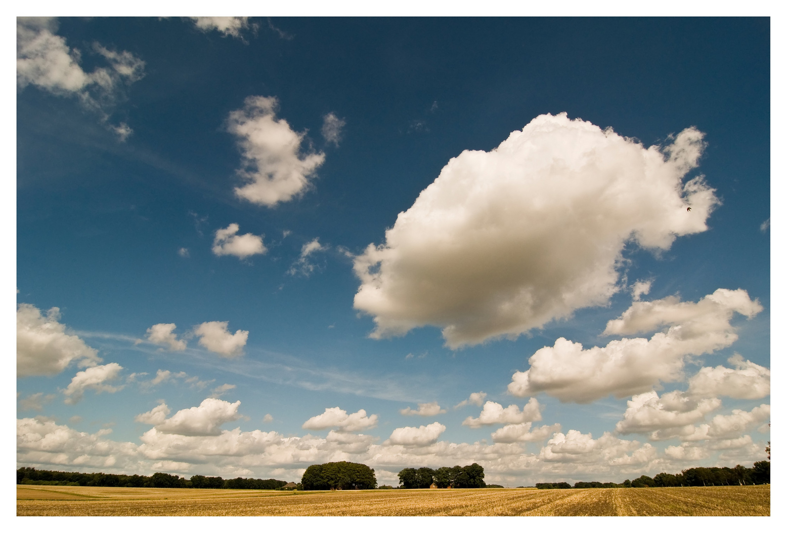 Norddeutsche Landschaft