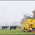 Norddeutsche Milch - voll lecker