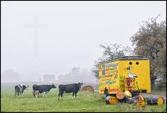 Norddeutsche Milch - voll lecker