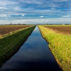 Norddeutsche Tiefebene oder Aschener Moor