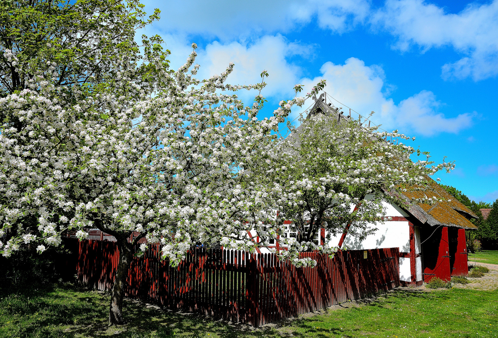 norddeutscher Frühling