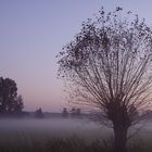 Norddeutscher Herbstabend