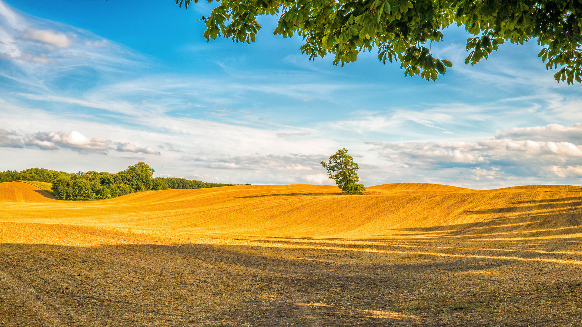 Norddeutscher Hochsommer-