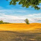 Norddeutscher Hochsommer-