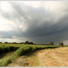 Norddeutscher Sommer...