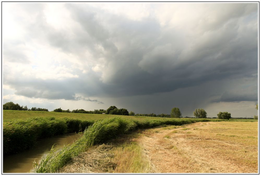 Norddeutscher Sommer...