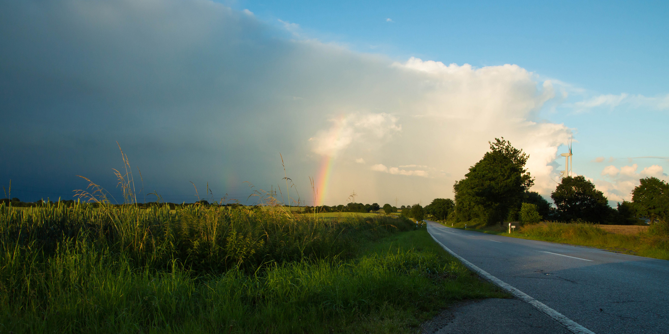 Norddeutscher Sommer...?