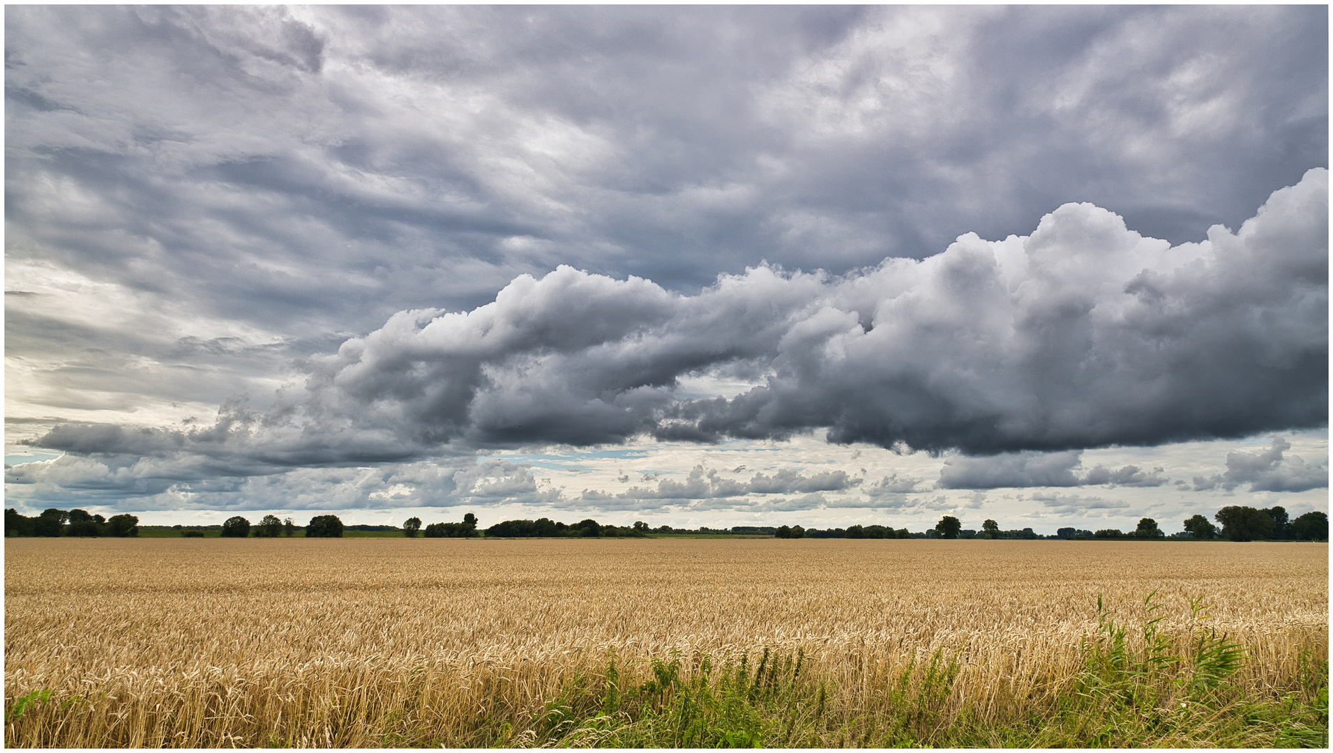 Norddeutscher Sommer