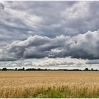 Norddeutscher Sommer