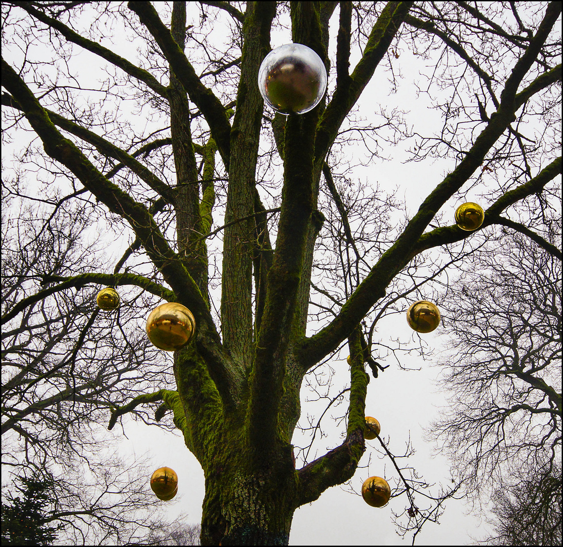 Norddeutscher Weihnachtsbaum (2.0)