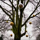 Norddeutscher Weihnachtsbaum (2.0)