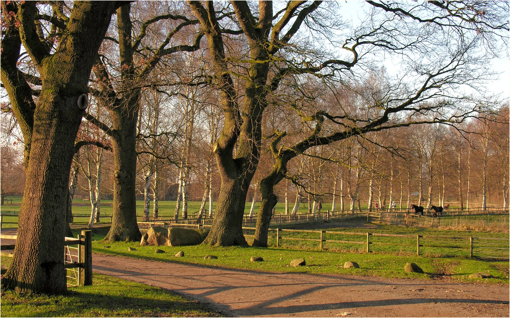 Norddeutscher Winter