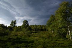 Norddeutsches Licht