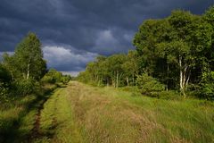 Norddeutsches Licht (II)