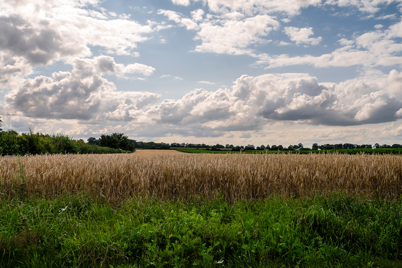 Norddeutsches Sommerwetter