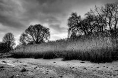 Norddeutsches Wintergrau