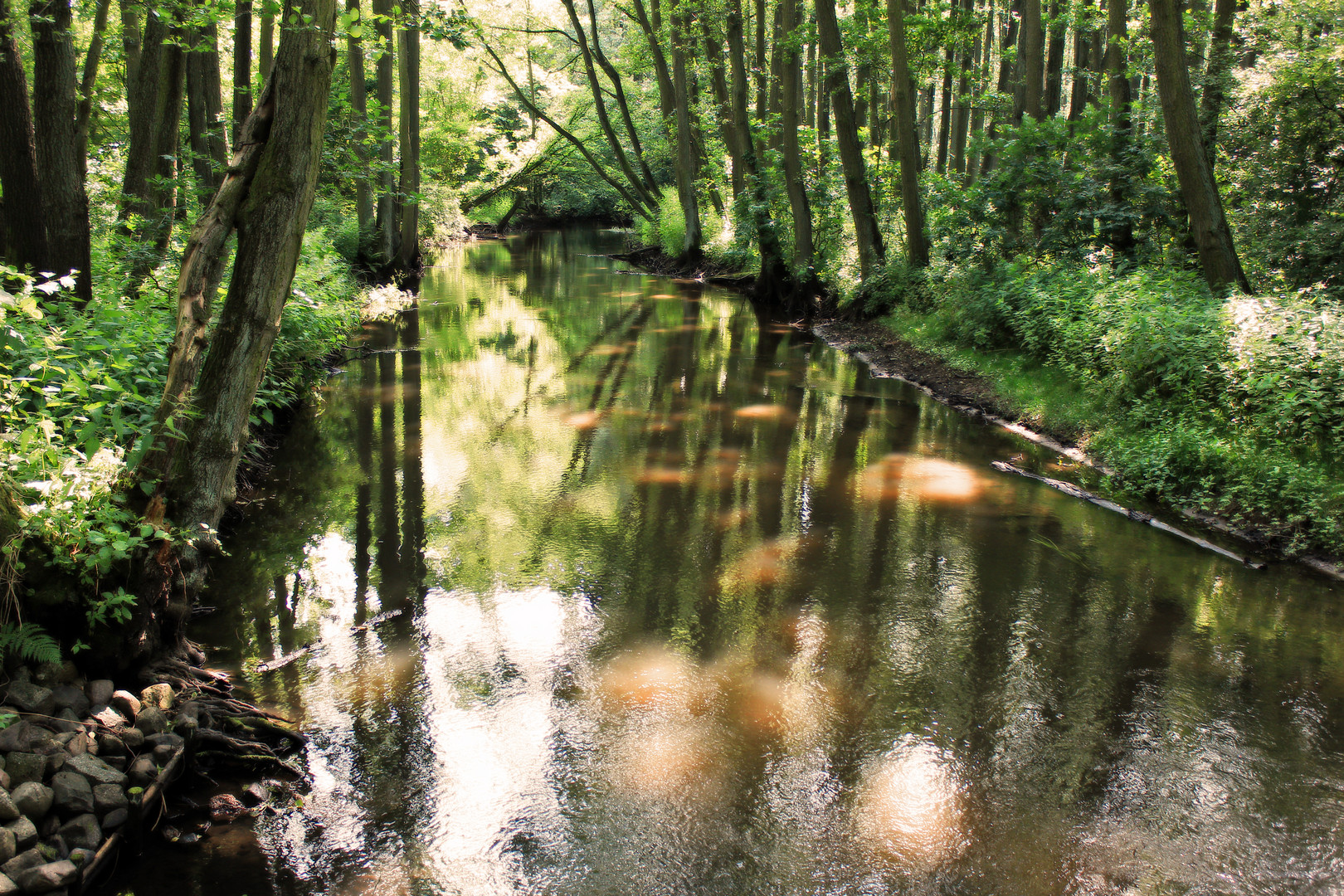 NORDDEUTSCHLAND-FLUSS-DIE STEPENITZ