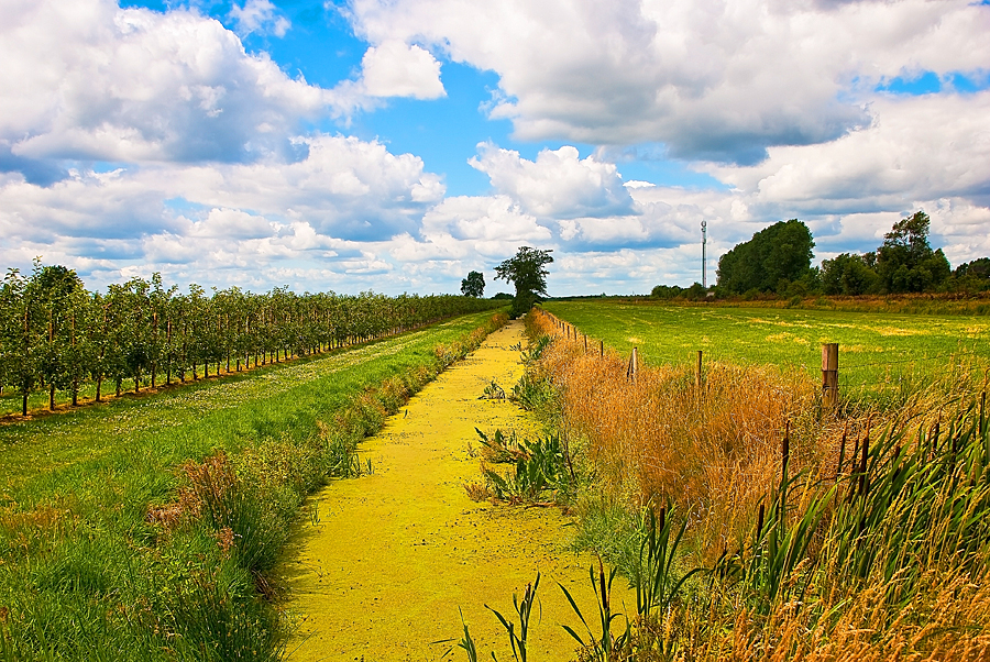 Norddeutschland im Sommer Foto & Bild | landschaft, Äcker ...