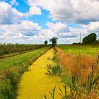 Norddeutschland im Sommer