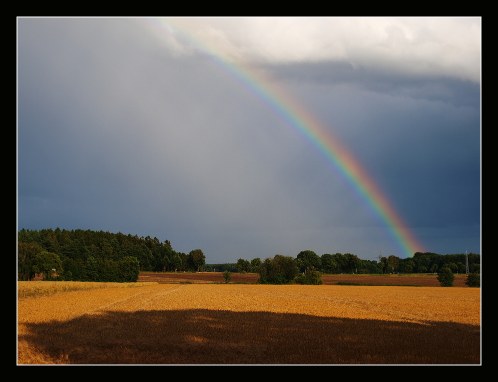 Norddeutschland im Sommer von Michael Busch-2