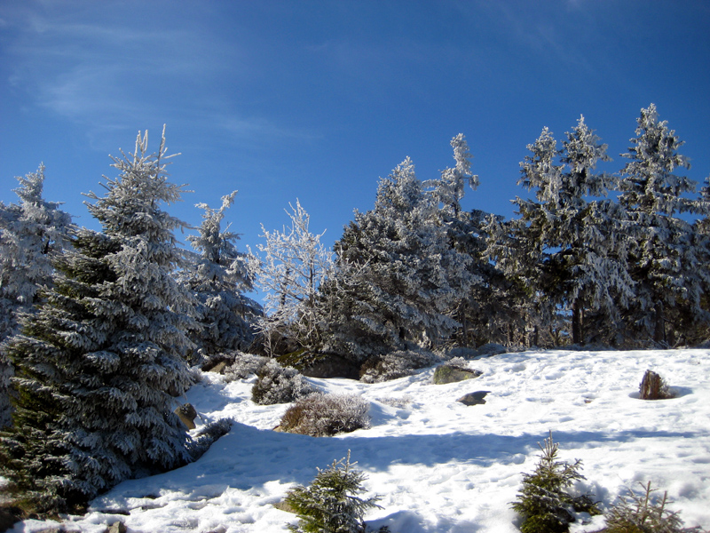 Norddeutschlands höchstes Wintermärchen